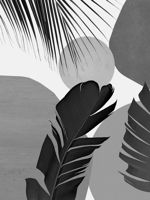 Abstract Banana Palm Leaf 3