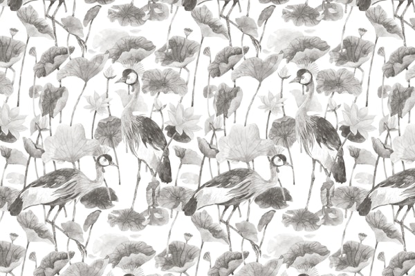 Grey Crane and Lotus