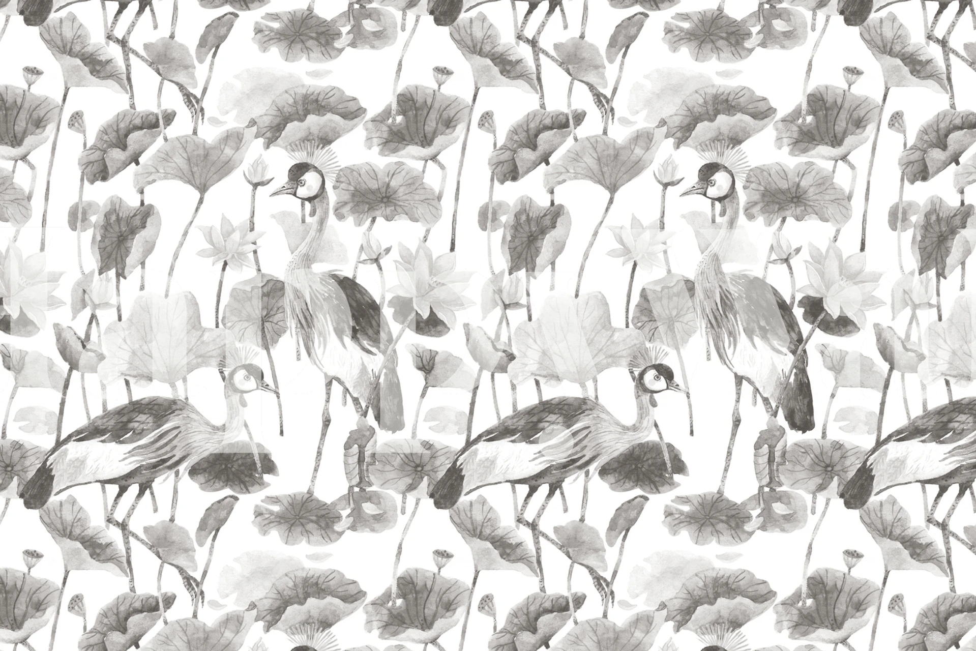 Grey Crane and Lotus wallpaper in a room