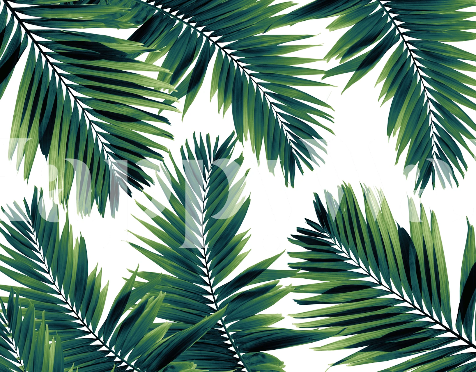 Palm Leaves Dream 1 veggmaleri med tropisk løvverk