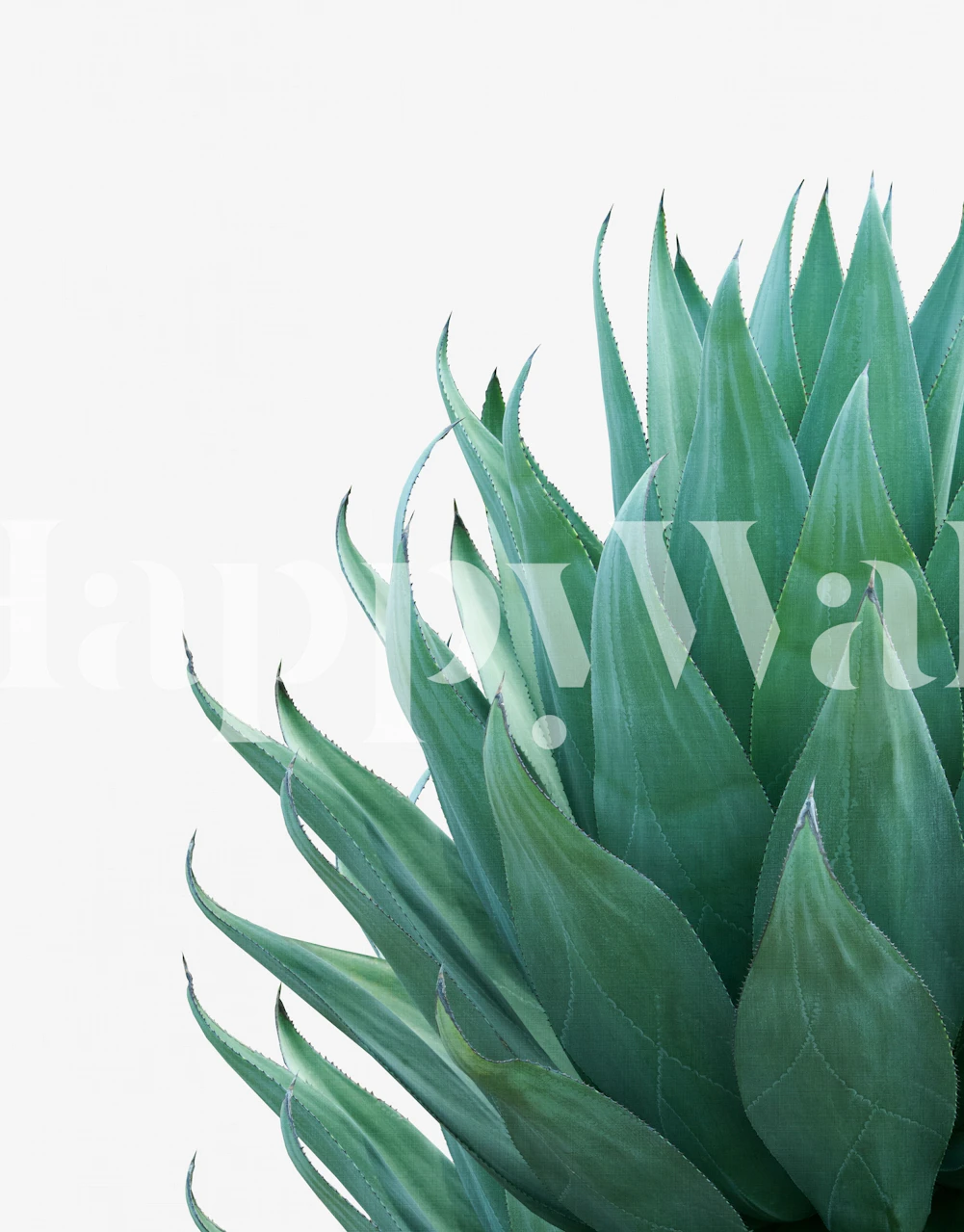 Minimal Agave wallpaper design in a room