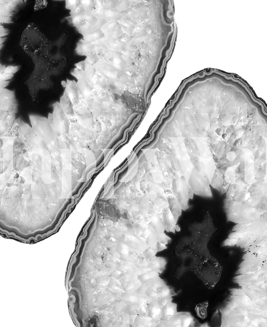 Yin Yang Agate stone-inspired wall mural in black and white