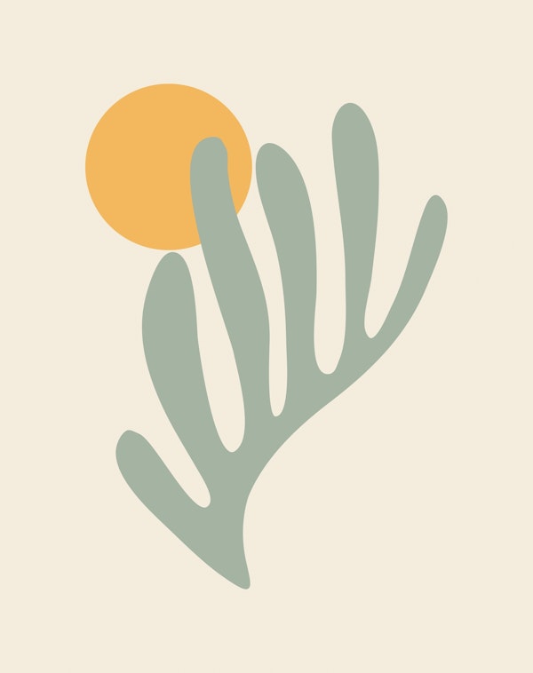 Cut Outs Matisse Inspired