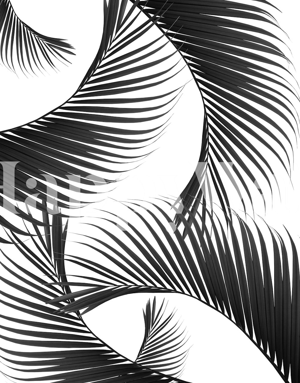 Palm leaves wallpaper in a modern room