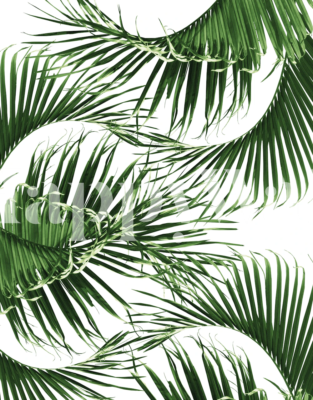 Palm Leaves Summer Delight 1 i en rumindstilling