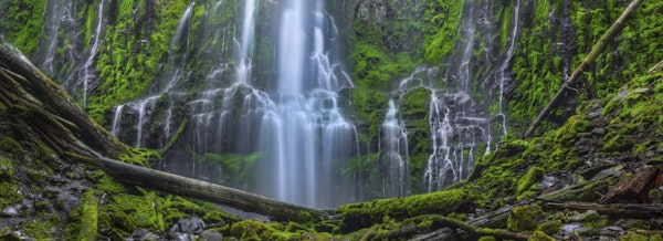 An Encounter With Paradise 2