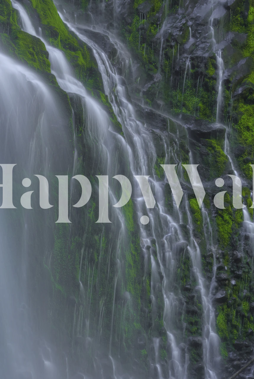 Flowing Grace wallpaper design in a room