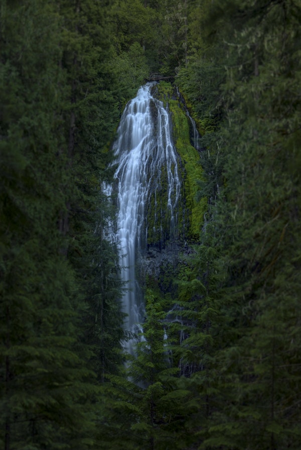 Focus On Proxy Falls