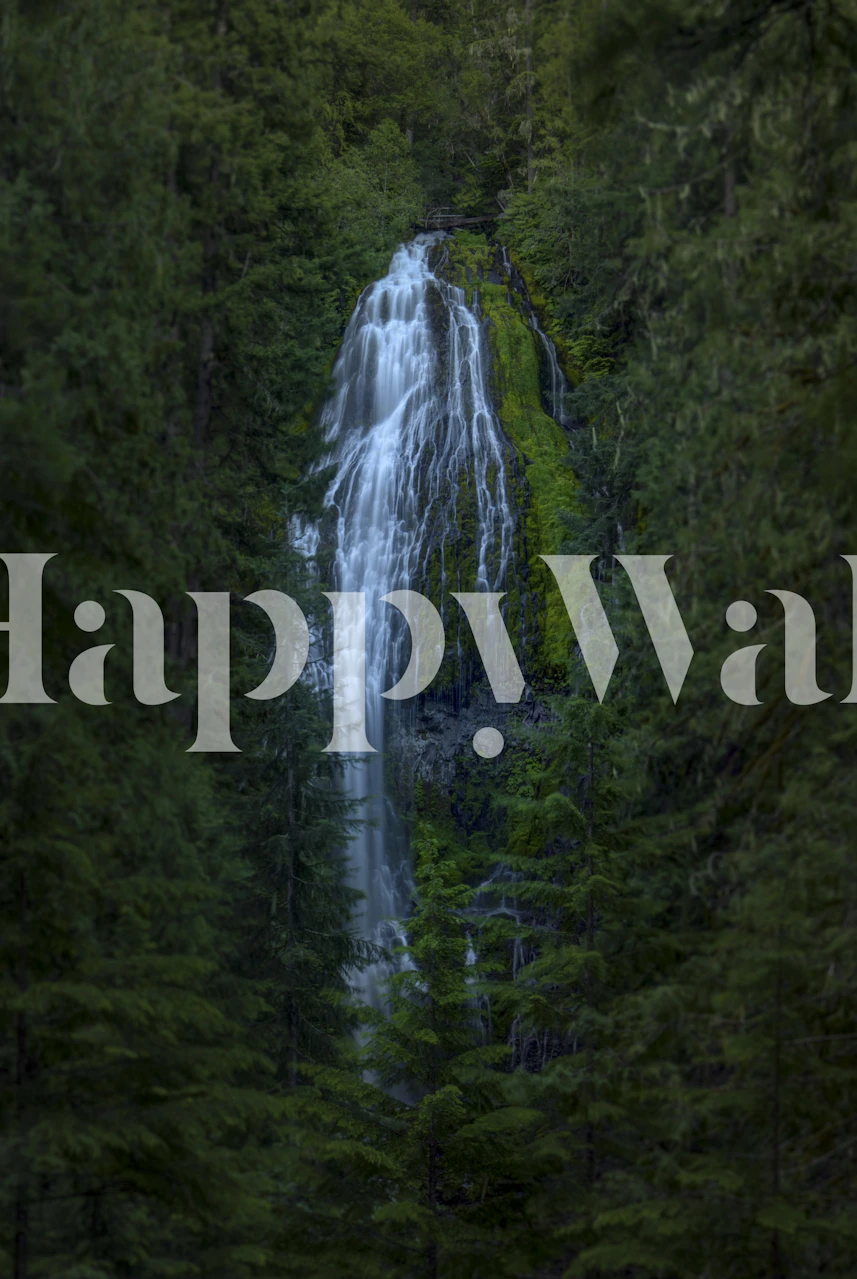 Proxy Falls wallpaper in a room