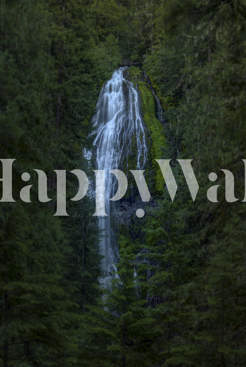 Proxy Falls wallpaper in a room