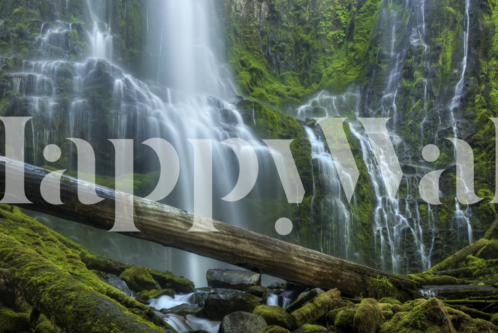 Sea and space inspired Proxy Falls mural wall art wallpaper.