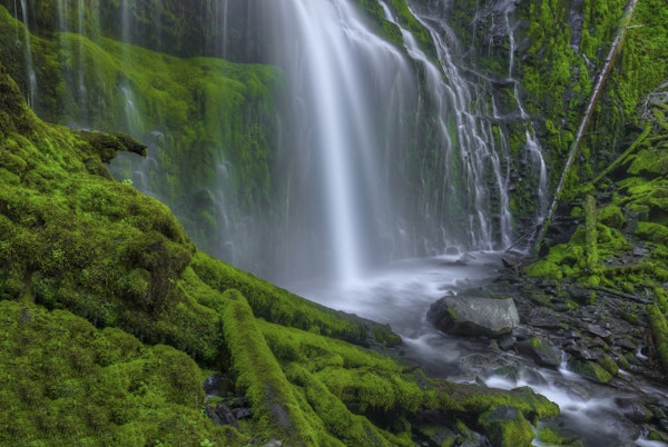 Seeing Beyond The Veil