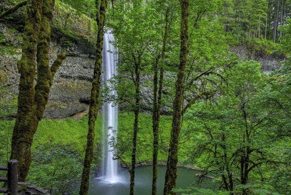 Silver Falls-Oregon 2