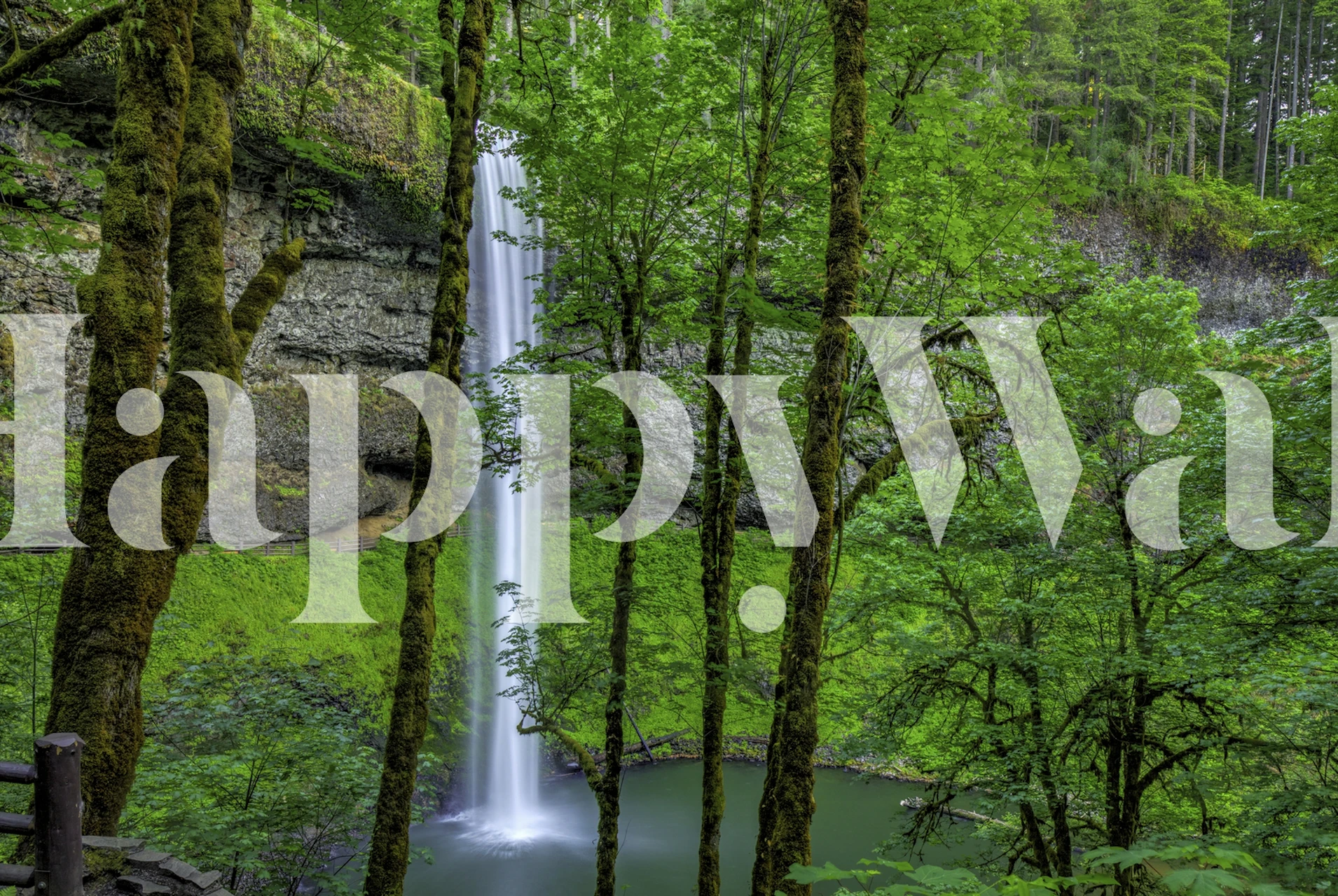 Silver Falls-Oregon wallpaper in a room