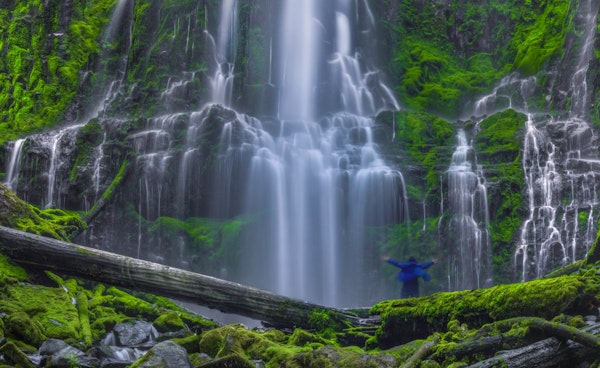 The Euphoria Experience