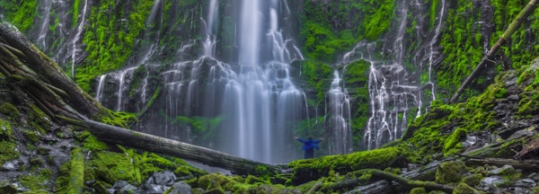 The Euphoria Experience-2