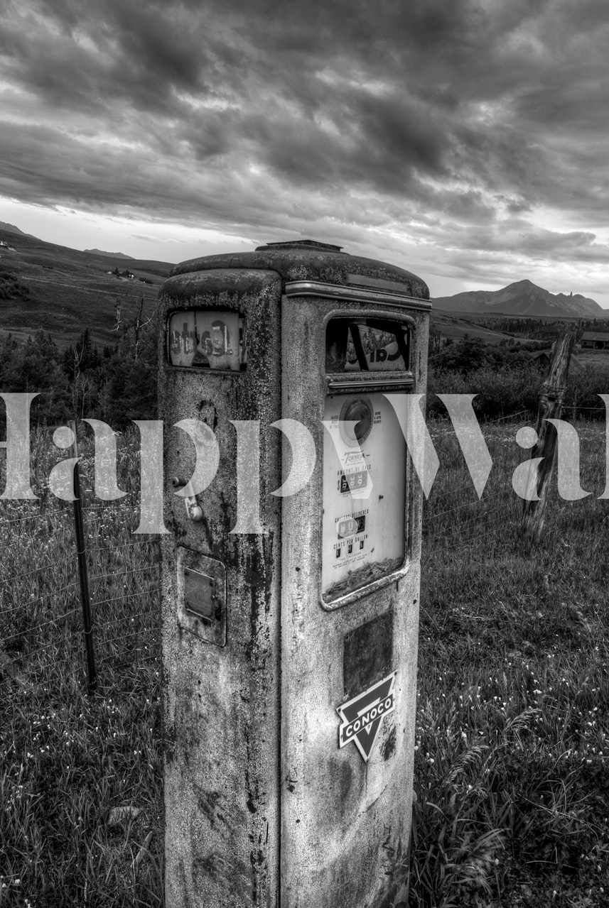 Vintage monochrome wall mural of an abandoned gas pump in a desolate landscape