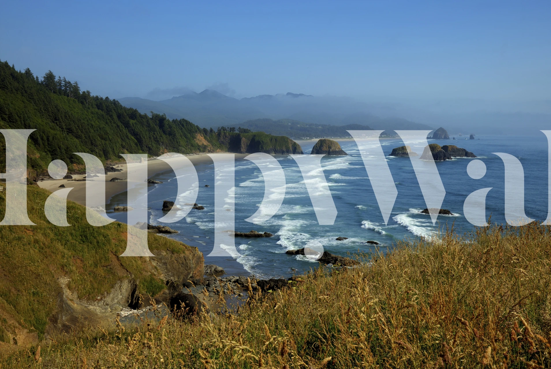 Carta da parati della costa dell'Oregon che mostra una vista panoramica della costa con scogliere, onde dell'oceano e fogliame lussureggiante.