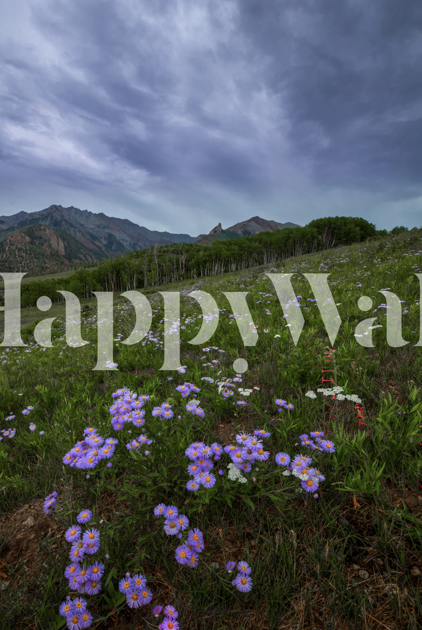 Wildflower wallpaper in a room setting