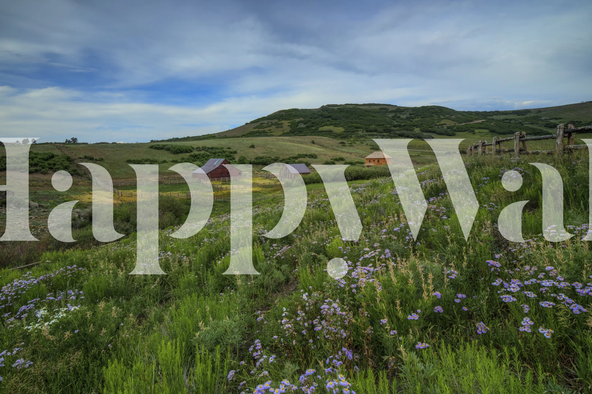 Wildflower landscape with purple flowers and green grass wallpaper