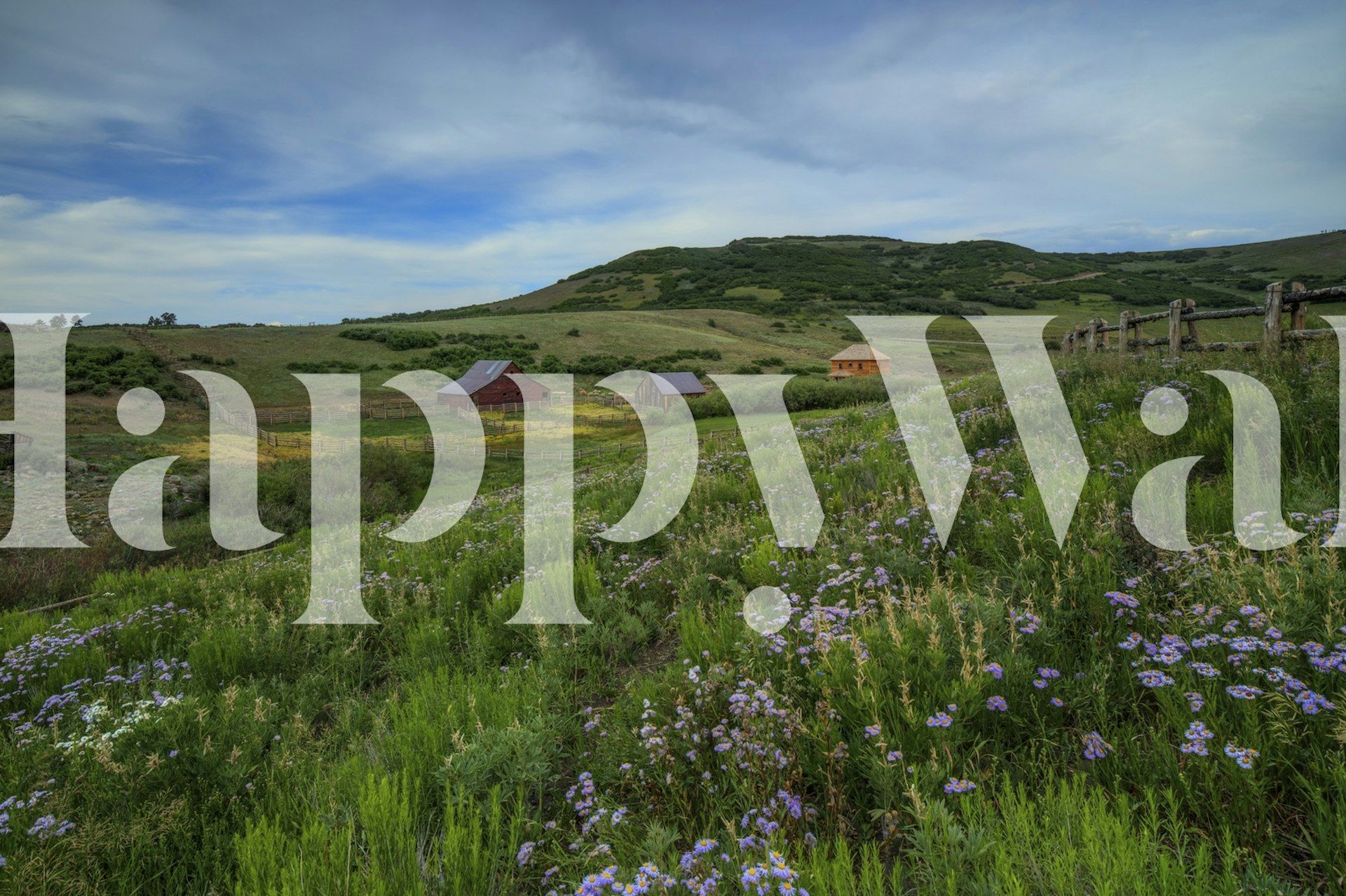 Wildflower landscape with purple flowers and green grass wallpaper