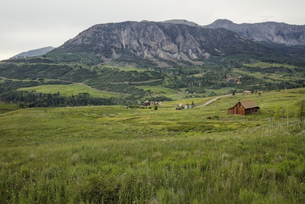 Wildflowers Near An Old Barn