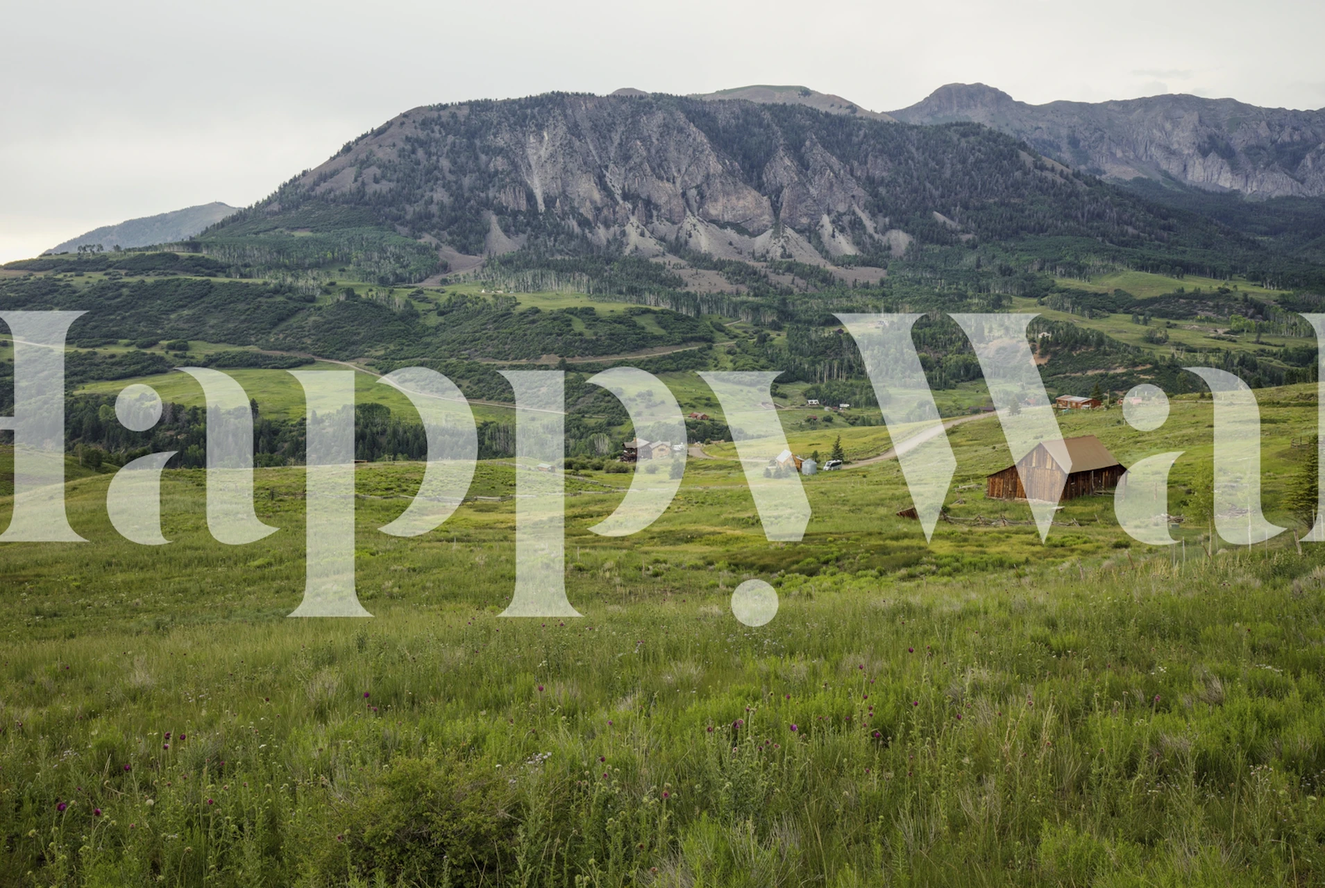 Pastoral landscape wall mural featuring wildflowers and an old barn with a mountain backdrop