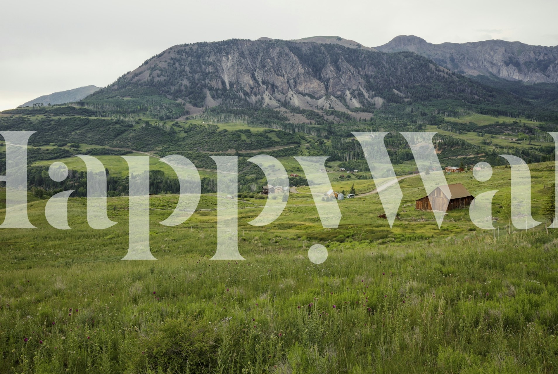Pastorale landschapsmuurschildering met wilde bloemen en een oude schuur met een berg op de achtergrond