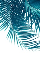 Palm Leaves Teal Blue Vibes 1 tapete