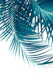 Palm Leaves Teal Blue Vibes 1