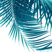 Palm Leaves Teal Blue Vibes 1 tapet