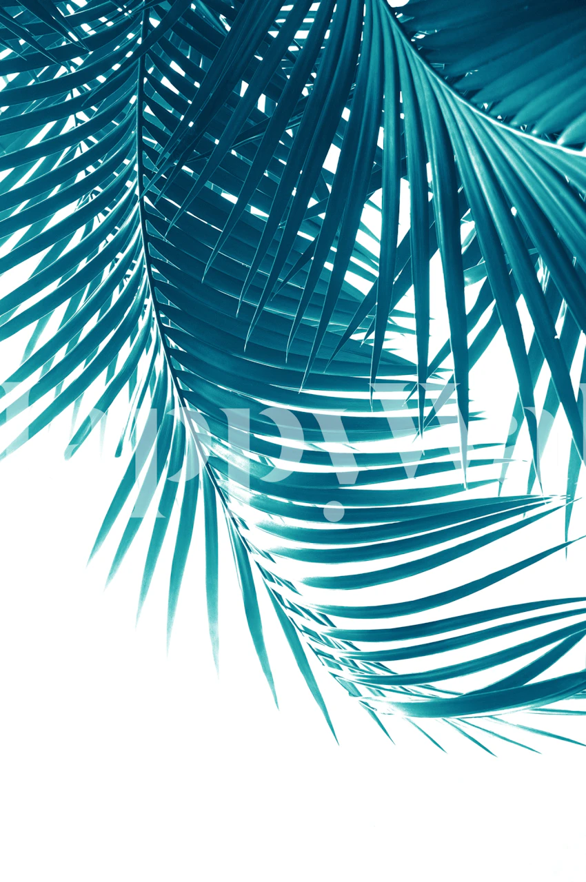 Teal Blue Palm Leaves Wallpaper in a Room