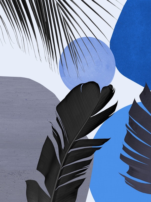 Abstract Banana Palm Leaf 4