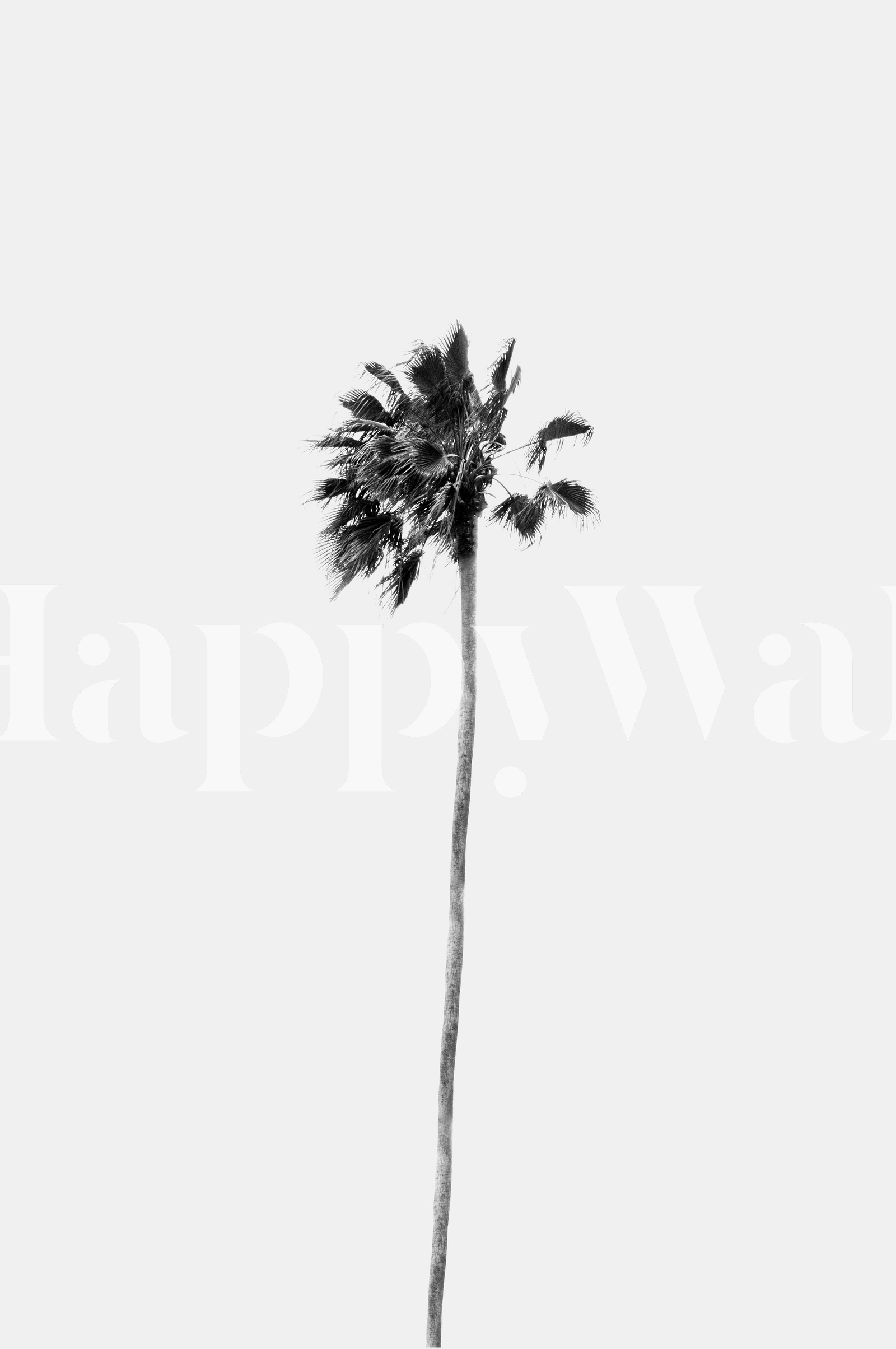 Buy Black White Palm Finesse 1 wallpaper - Free shipping