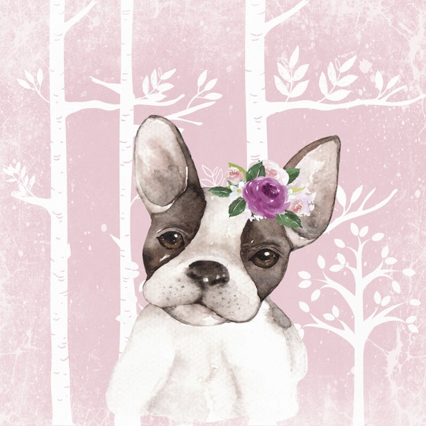 French Flower Bulldog
