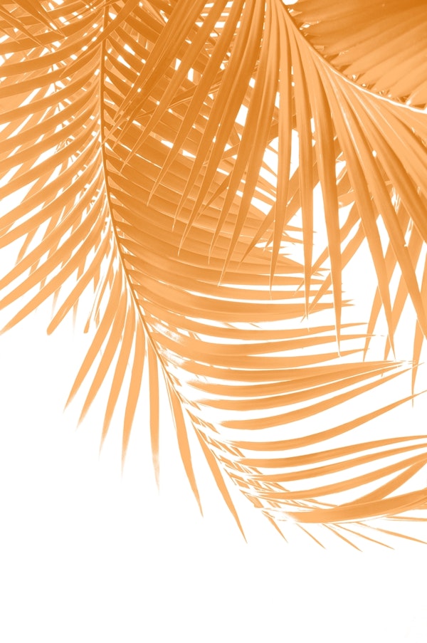 Palm Leaves Marigold Vibes 1