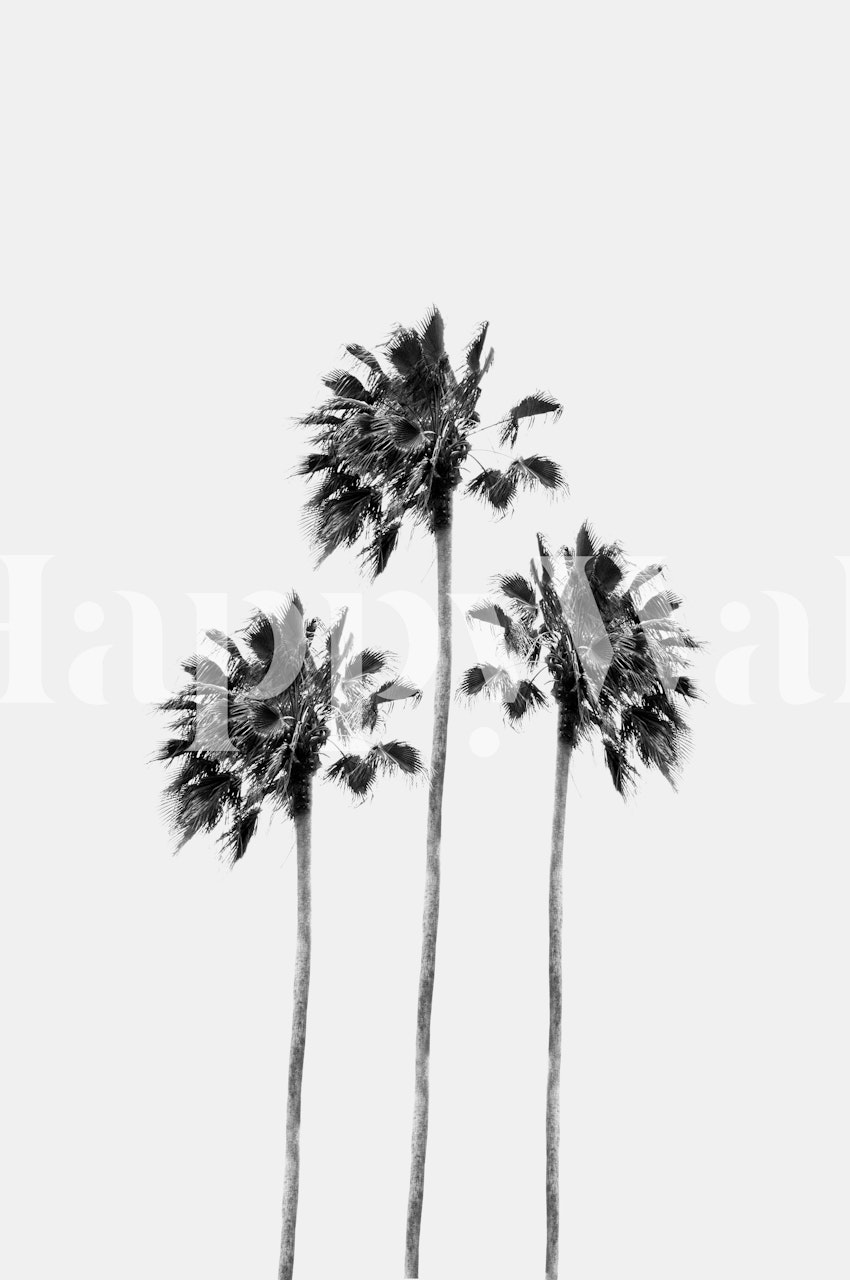 Three black palm trees on a white background wallpaper