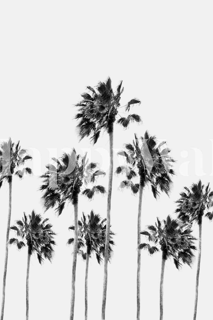 Black and white palm trees wallpaper
