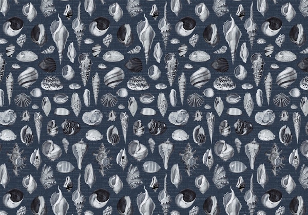 Nautilus in grey navy blue