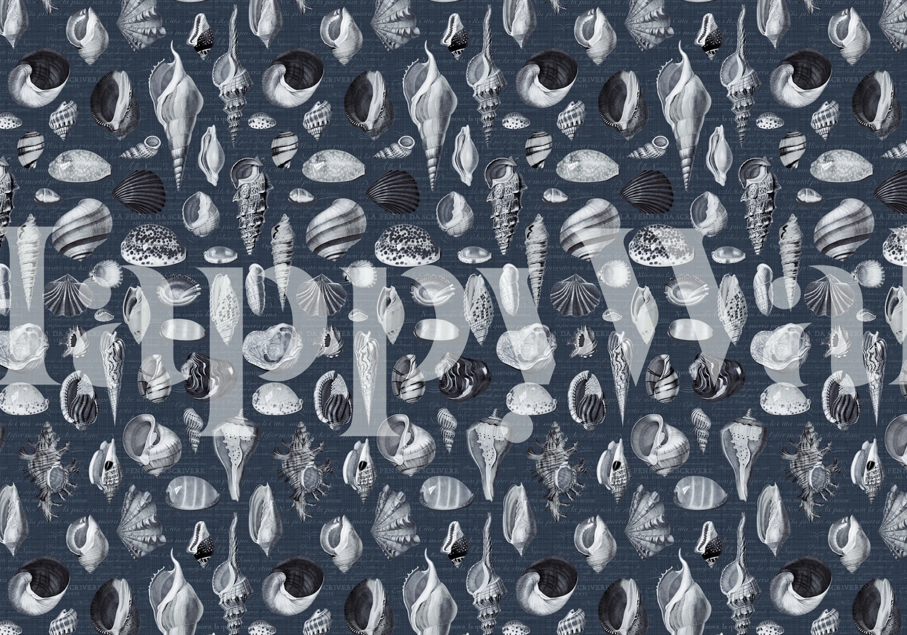Nautilus shell patterns in grey and navy blue wallpaper