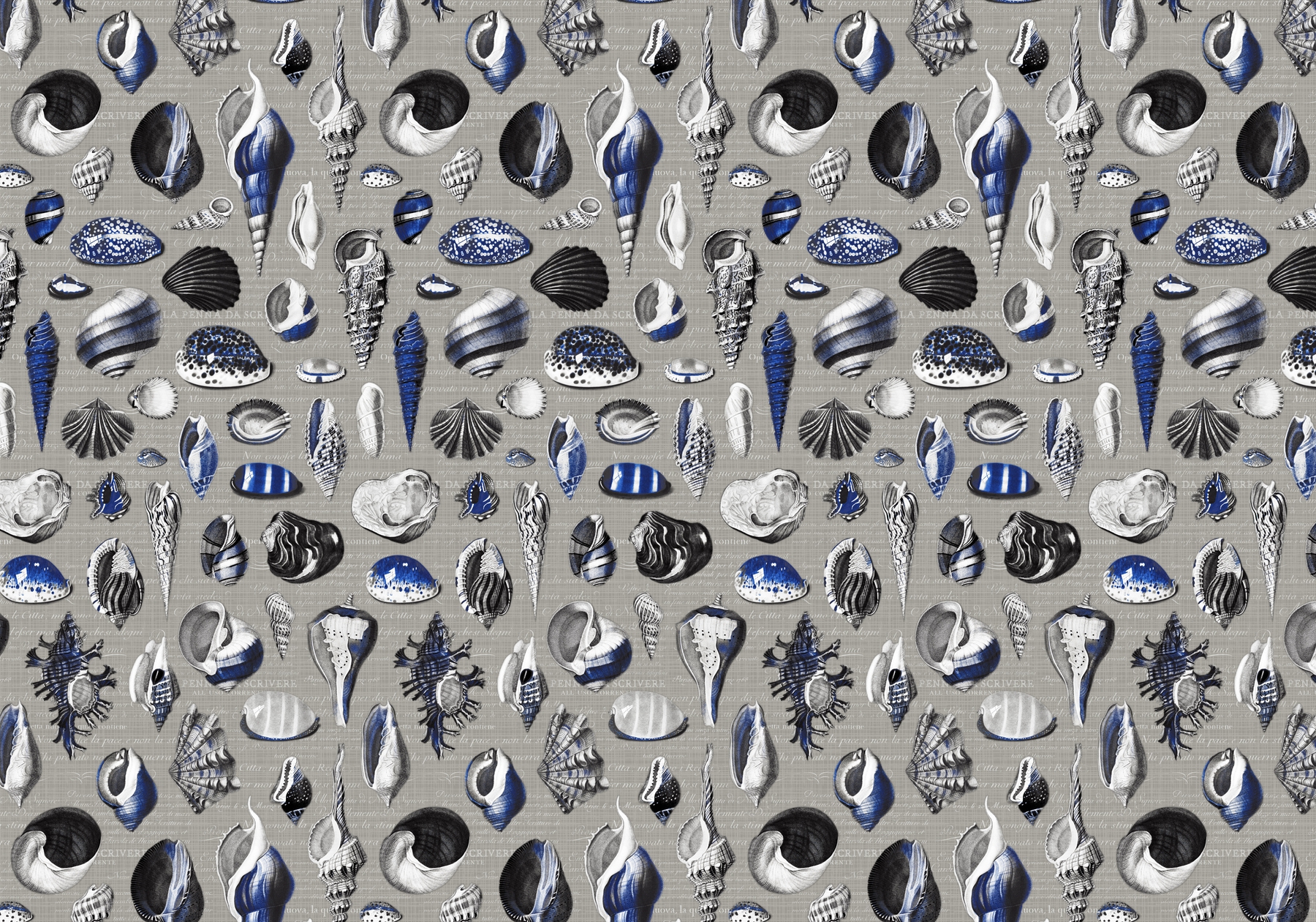 Nautilus Cobalt Blue Grey Wallpaper | Buy Designer Wallpapers Online