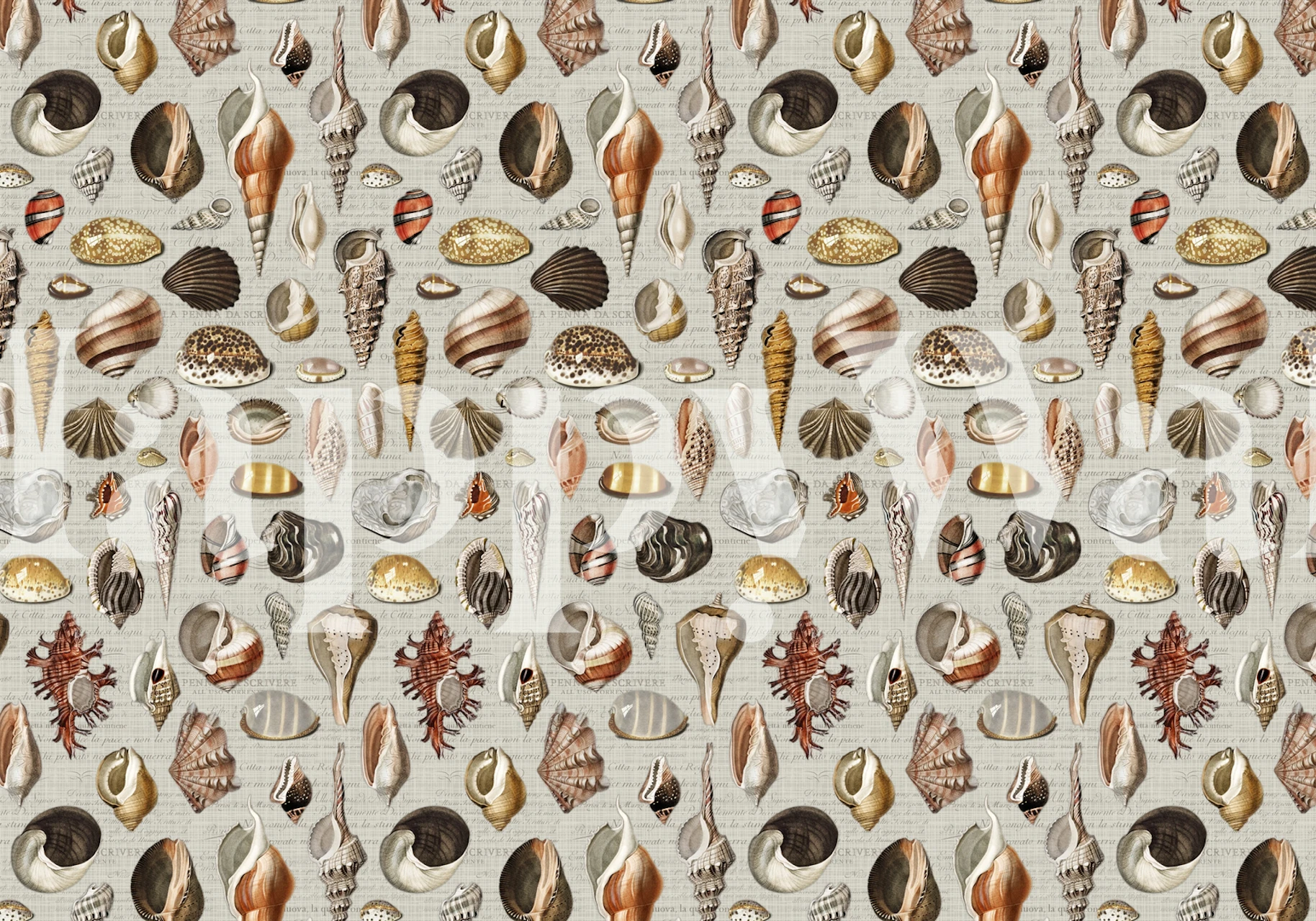 Zidna slika s uzorkom Nautilusa sa sivim, žutim i bakrenim tonovima