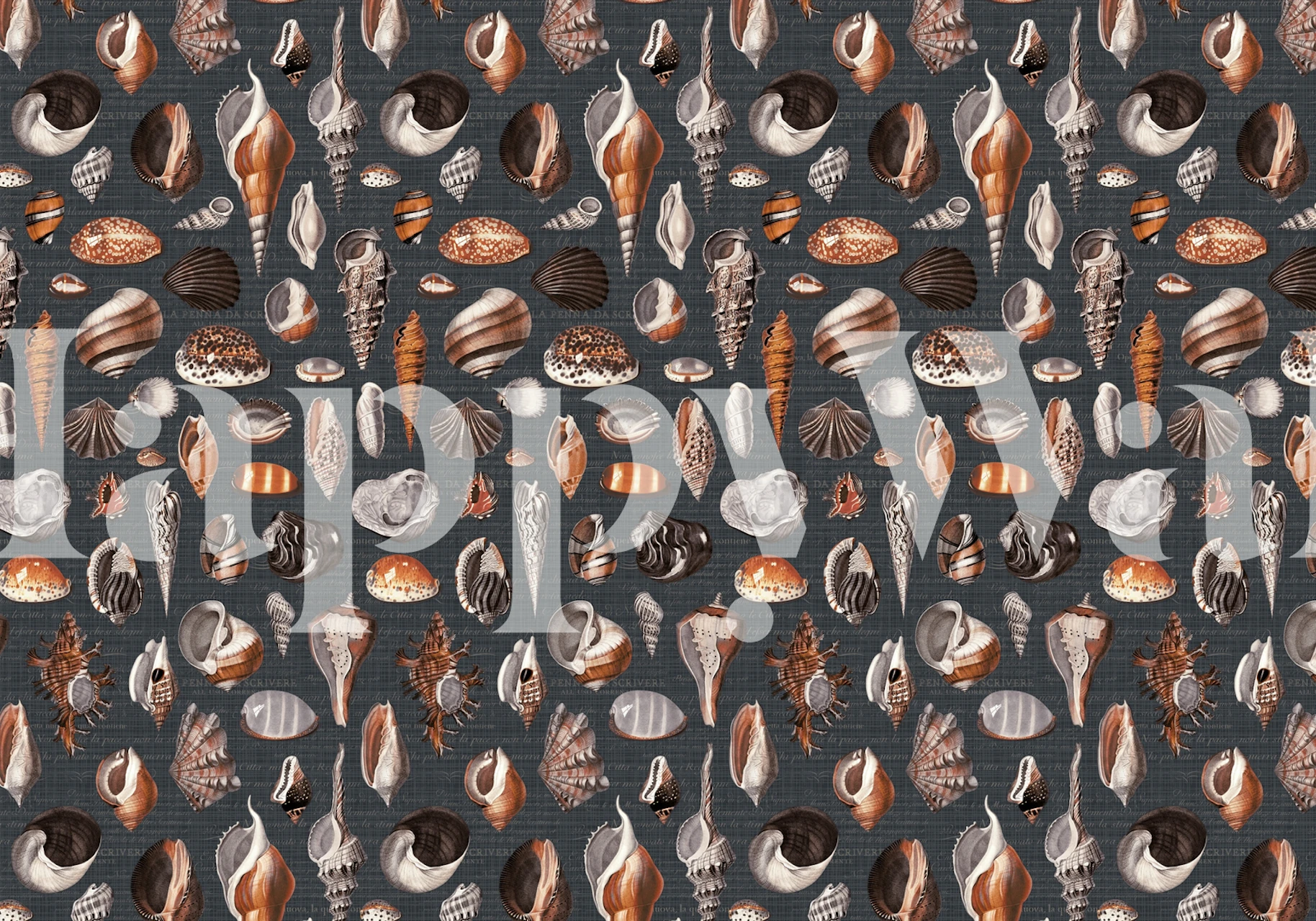 Nautilus charcoal grey rust wallpaper in a room