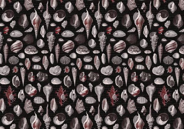 Nautilus burgundy grey black