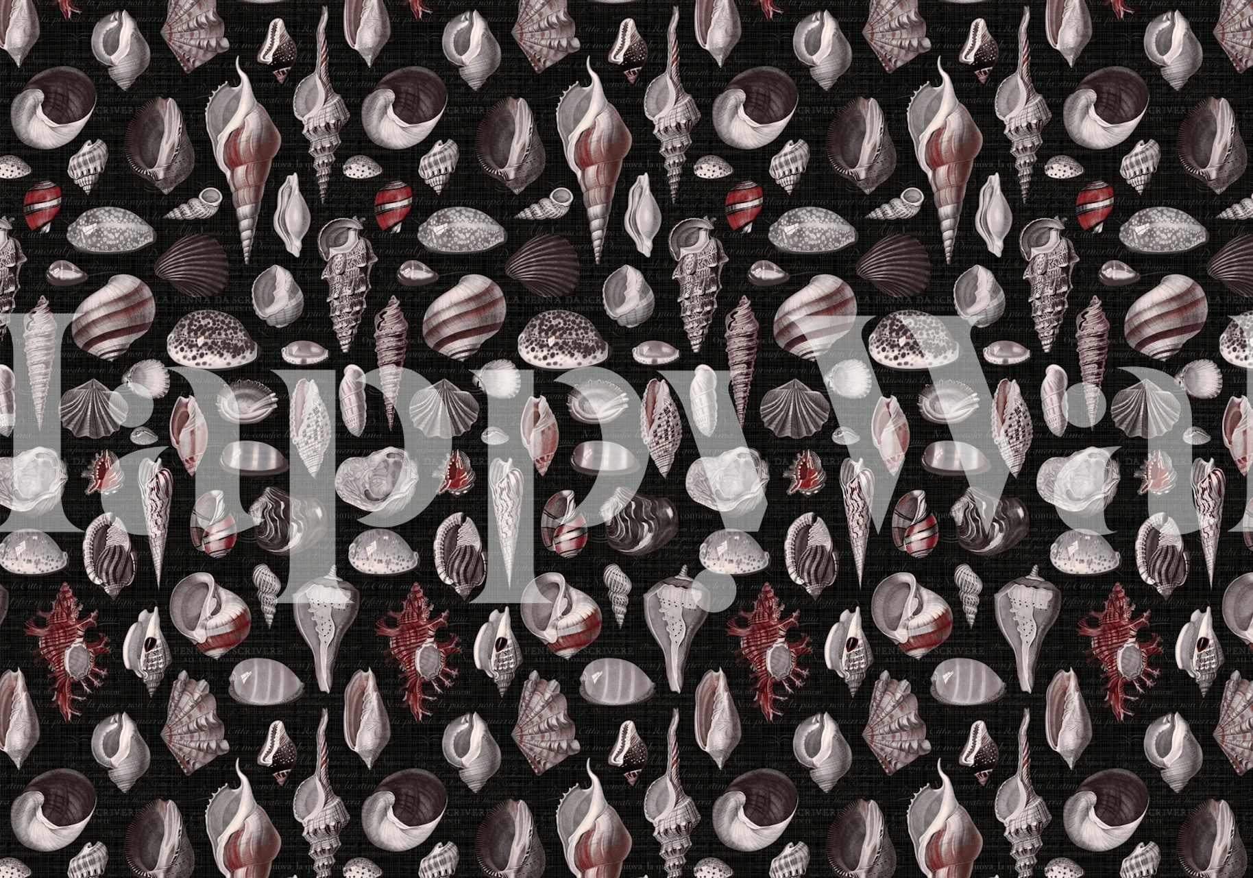 Nautilus shells in burgundy, grey, and black wallpaper