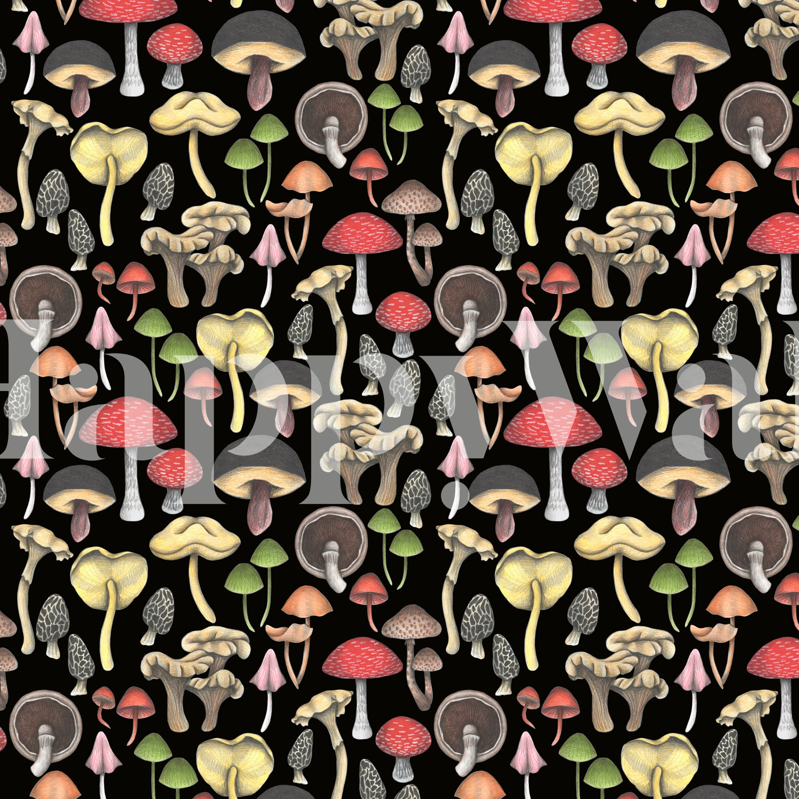 Black Mushroom Wallpaper - Wild Mushrooms Fantasy Wall Mural | Happywall