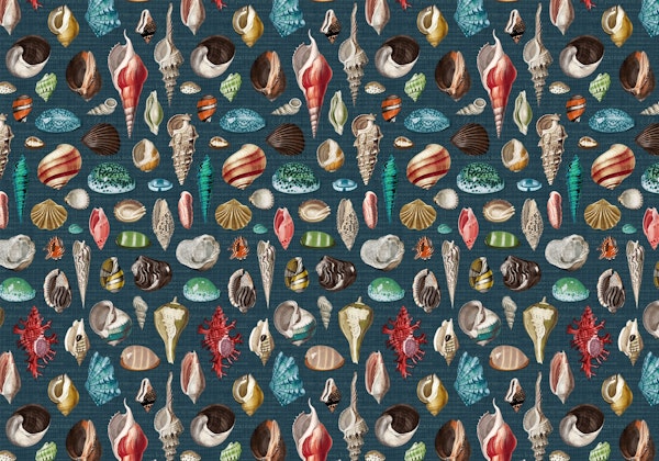 Nautilus multicolor slate blue