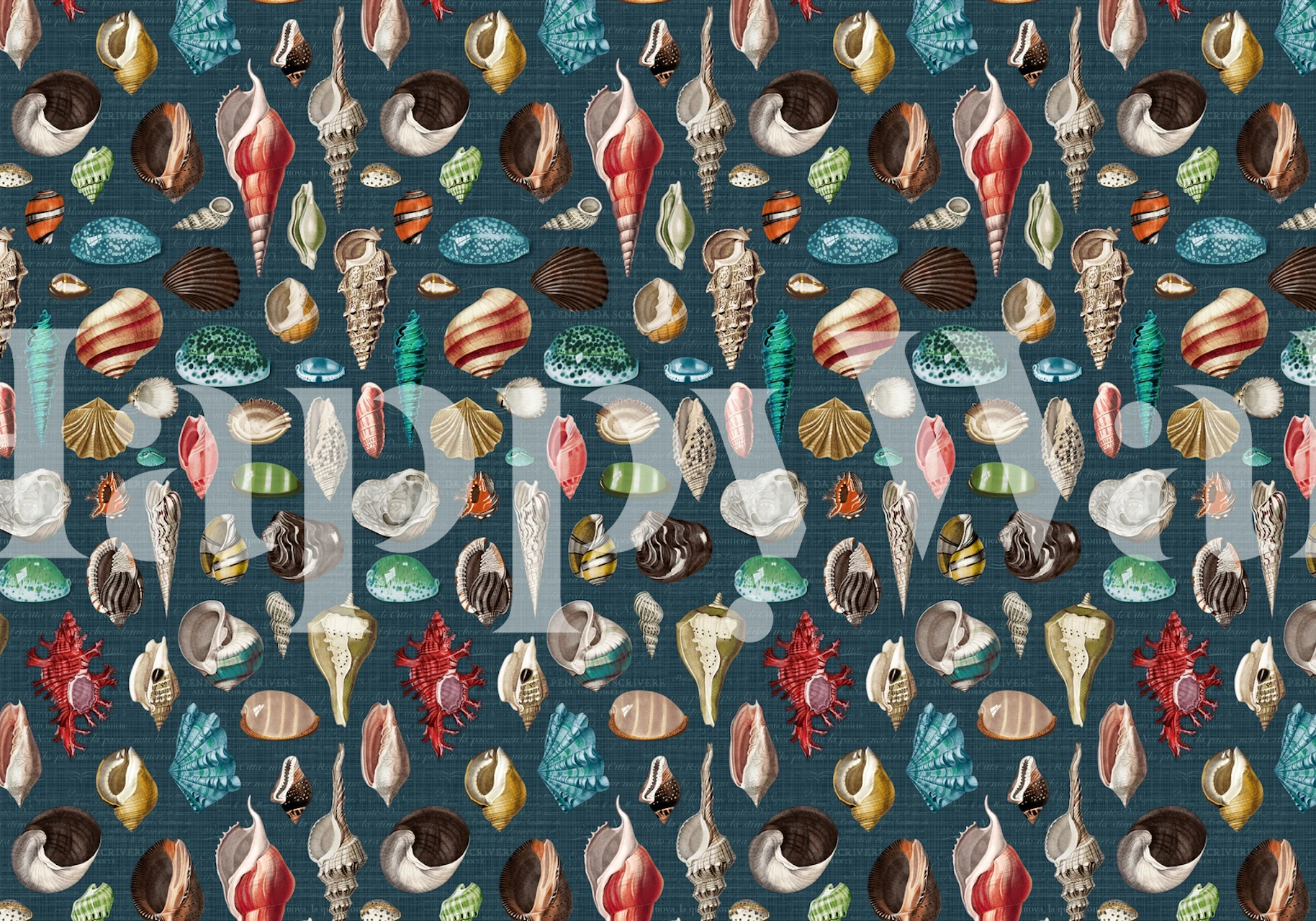 Nautilus multicolor slate blue tapet i ett rum