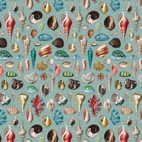 Nautilus multicolor duck blue papiers peint