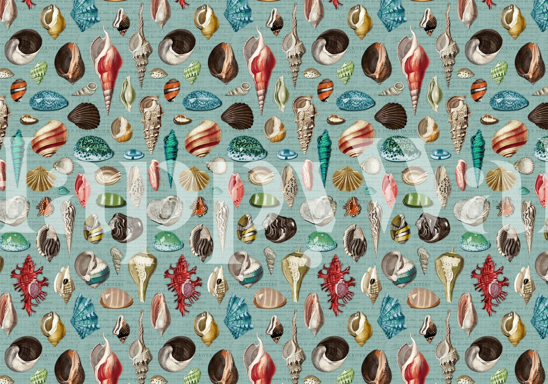 Nautilus multicolor duck blue wallpaper in a room